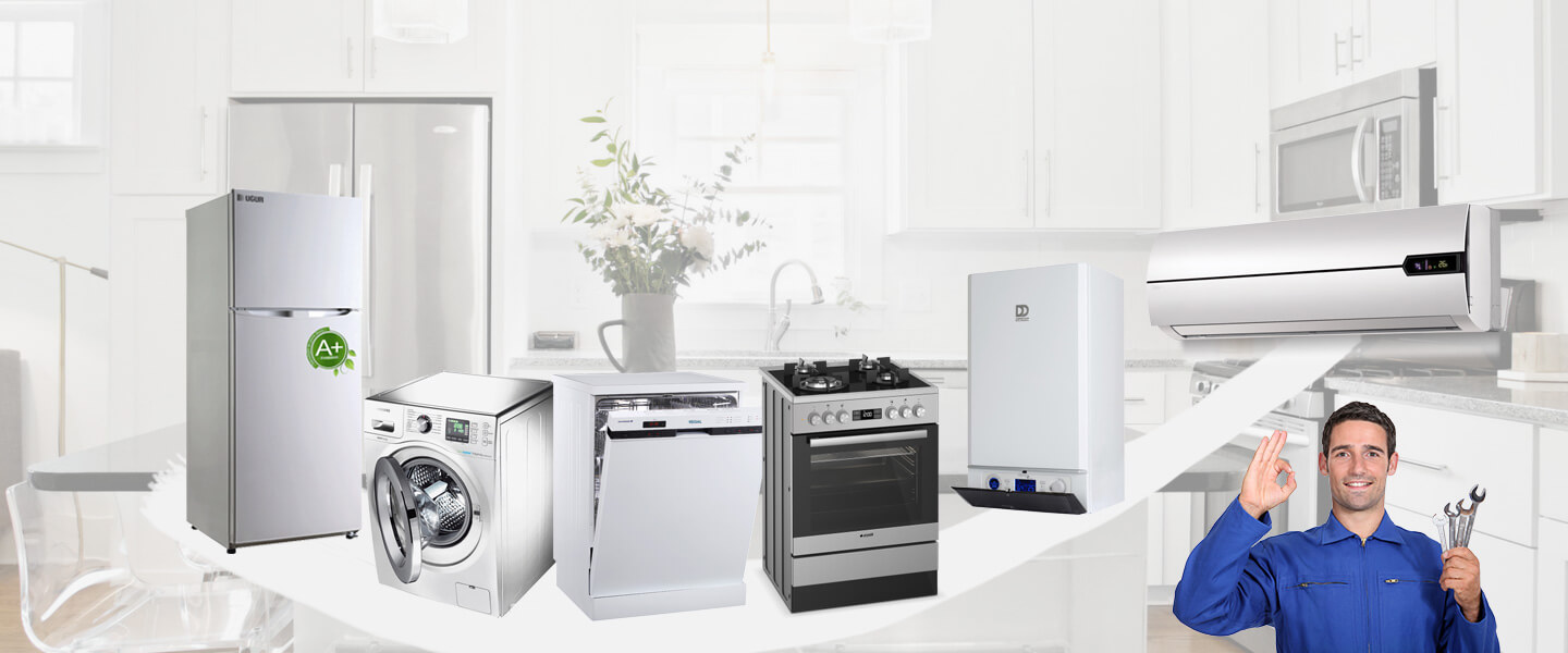 Bayramiç Gaggenau Servisi